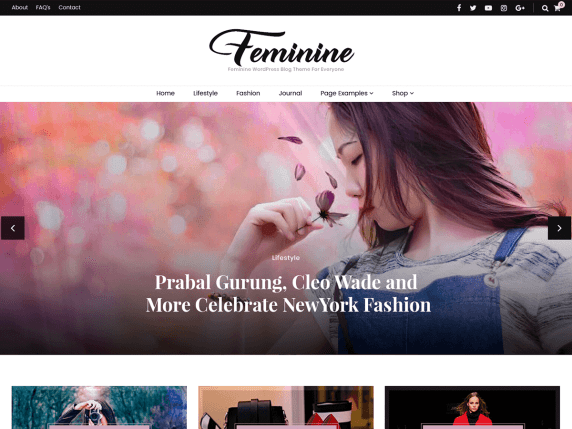 Blossom Feminie Pro theme - Best WordPress Themes for Women Bloggers
